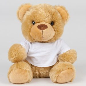 Bear in a t shirt