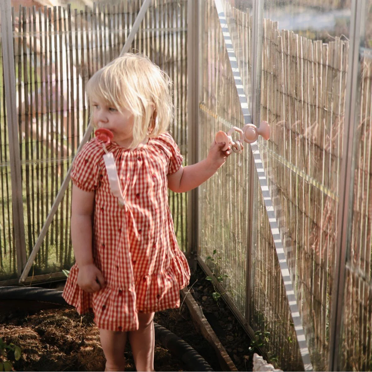 Mushie - Hexapop Zuigspeelgoed – Image 4